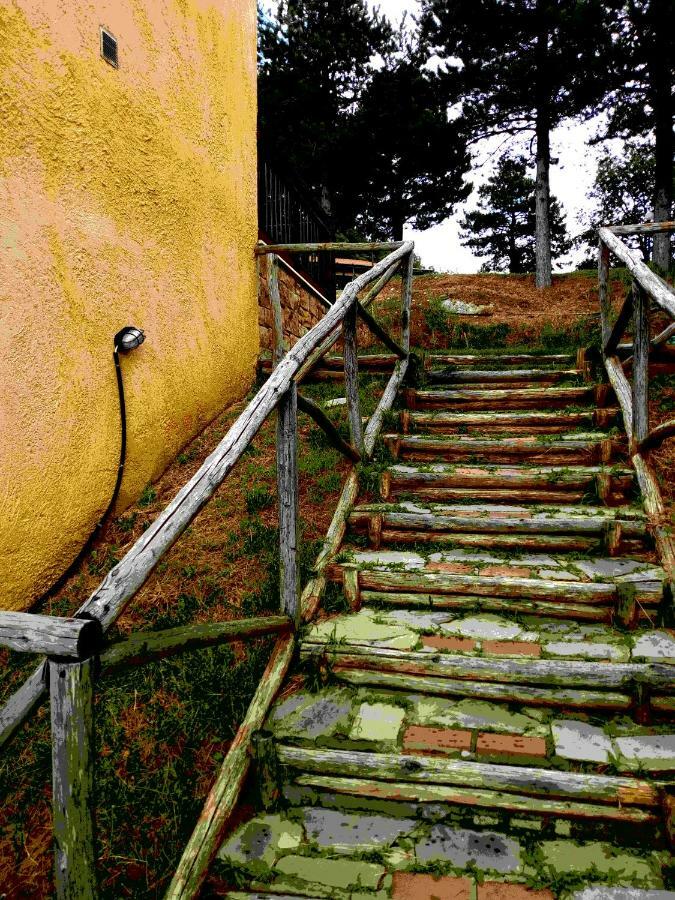 Elatodasos Taxiarkhis  Exteriör bild